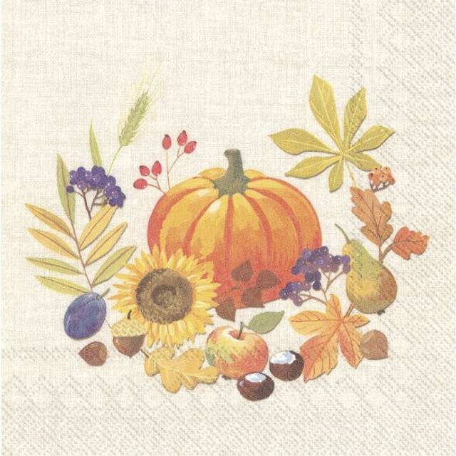 Paper Lunch Napkins Little Pumpkin 3ply Disposable Luncheon Party Serviettes