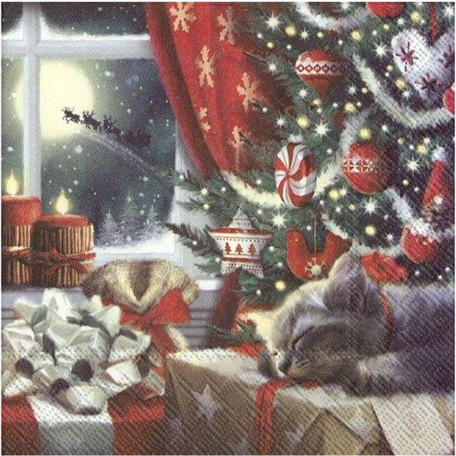 Cat Waiting For Christmas 3-Ply Paper Lunch Napkins Party Serviettes Pack Of 20