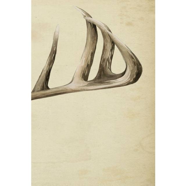 Triptych Whitetail III by Grace Popp - Wrapped Canvas Graphic Art (76cm H x 51cm W)