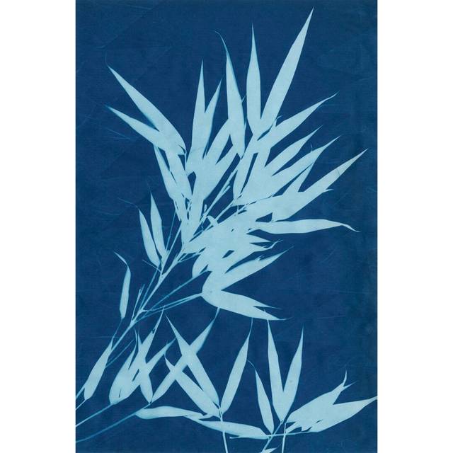 Cyanotype No.1 by Renée W. Stramel - Wrapped Canvas Painting (91cm H x 61cm W)