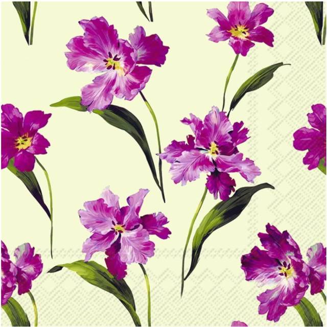 IHR Spring AnneMarie Flower Print Lunch Paper Napkins 20 Disposable 3-Ply