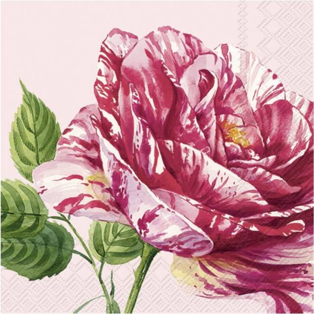 IHR Red Flower Print Rose Lunch Paper Napkins 20-Pack Disposable 3-Ply