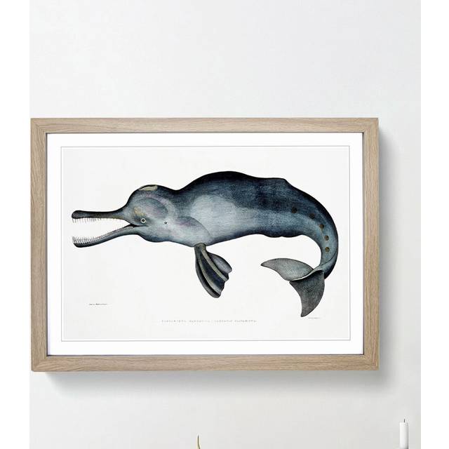 River Dolphin by John Edward Gray - Picture Frame Painting Print - Oak Framed (27cm H x 36cm W x 2cm D)