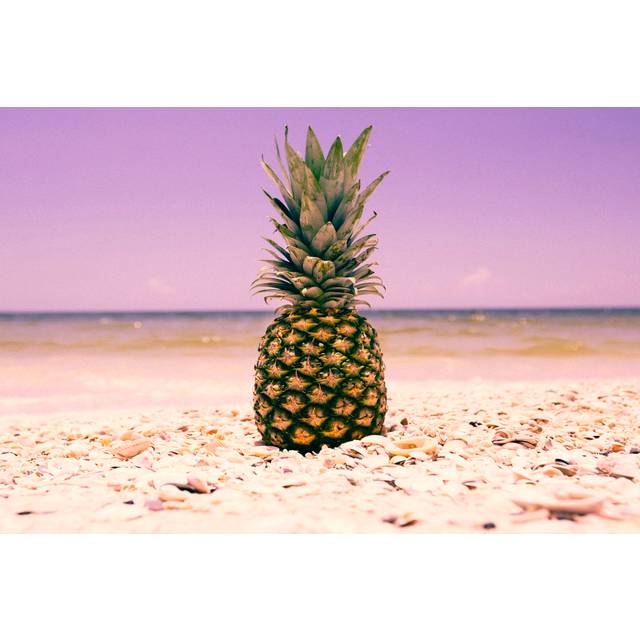 South Florida Pineapple I by Adam Mead - Wrapped Canvas Art Prints (81cm H x 122cm W x 3.8cm D)