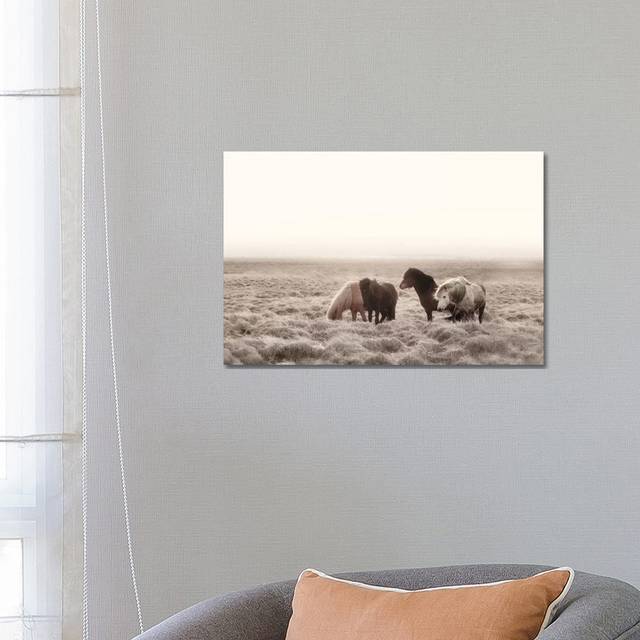 Iceland Wild Horses I by Monika Strigel - Wrapped Canvas Photograph (45.72cm H x 66.04cm W x 3.81cm D)