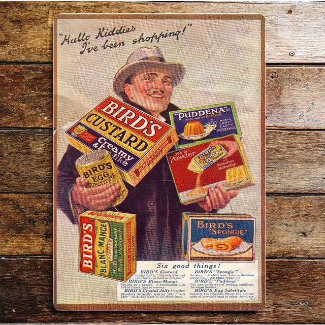 Birds Custard Powder Six Good Things Metal Sign - Multicolor (40cm H x 28cm W)
