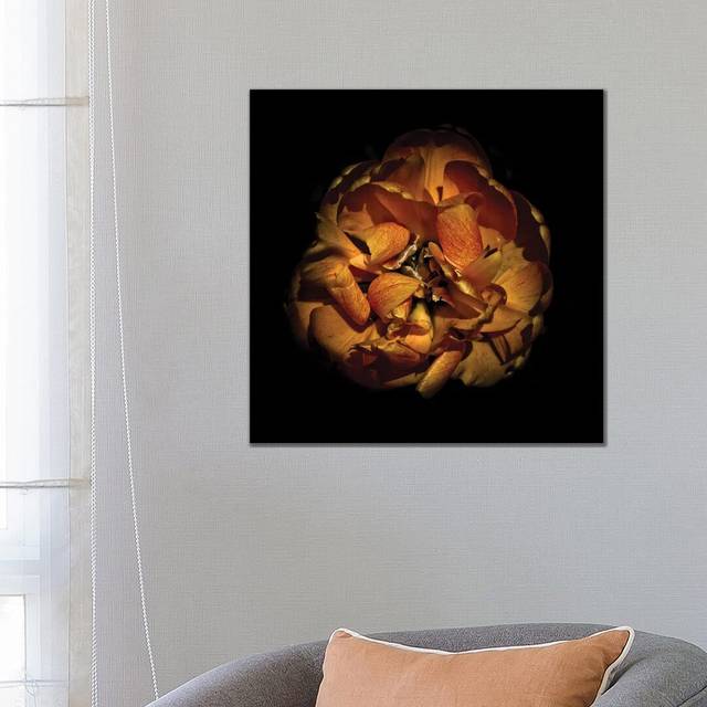 Orange Peony by Brian Carson - Wrapped Canvas Graphic Art (66.04cm H x 66.04cm W x 3.81cm D)