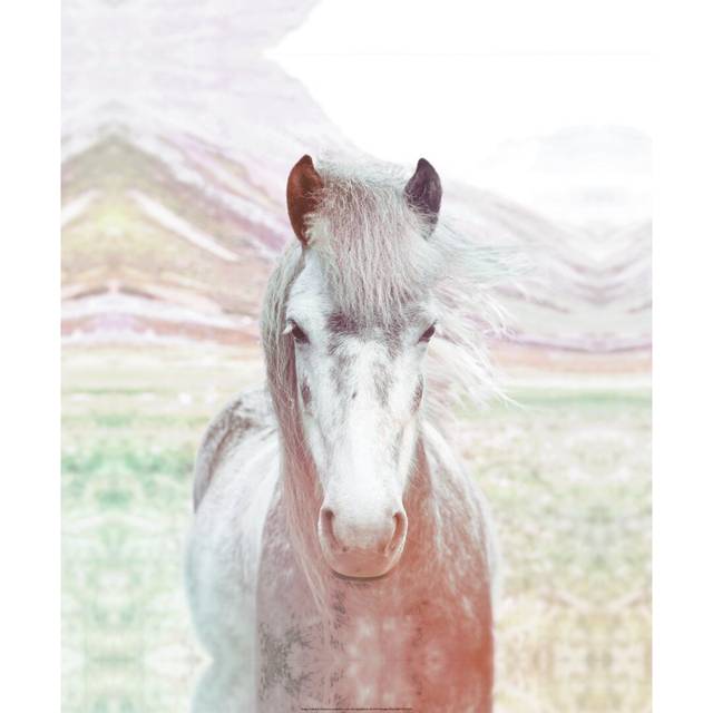 Whimsical Horse - Painting Print - Wrapped Canvas (46cm H x 30cm W)