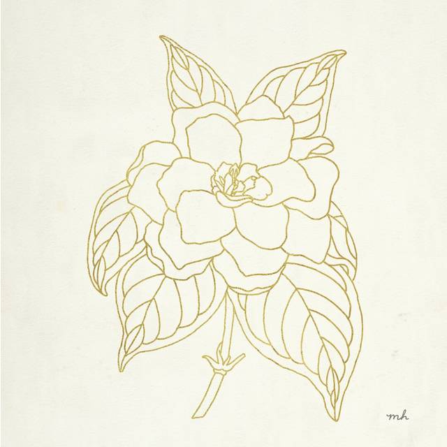 Gold Gardenia Line Drawing Crop by Moira Chocolate - Wrapped Canvas Graphic Art (122cm H x 122cm W)