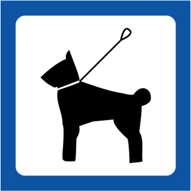 Hund i snor - Plast - 100 x 100 mm
