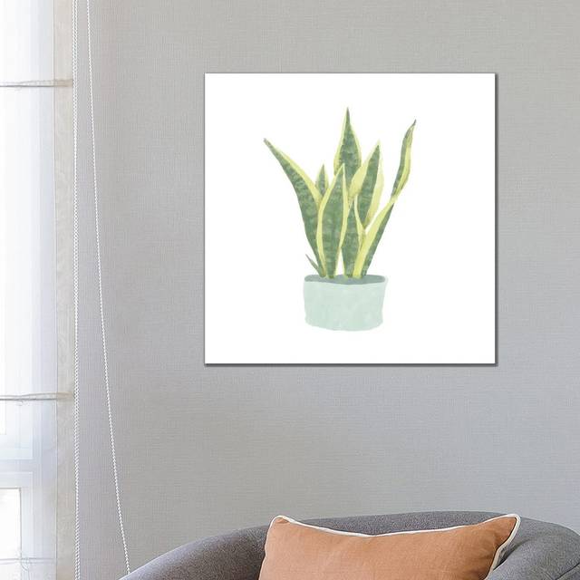 Snake Plant III by Bannarot - Wrapped Canvas Graphic Art (66.04 cm H x 66.04 cm W x 3.175 cm D)