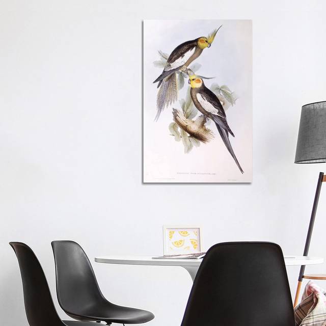 Cockatiel, Engraving by John Gould - Wrapped Canvas Painting (101.6 cm H x 66.04 cm W x 1.91 cm D)