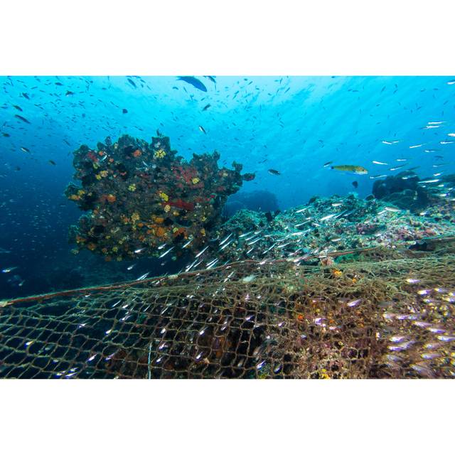 Marine National Park, Thailand (51cm H x 76cm W x 3.8cm D)