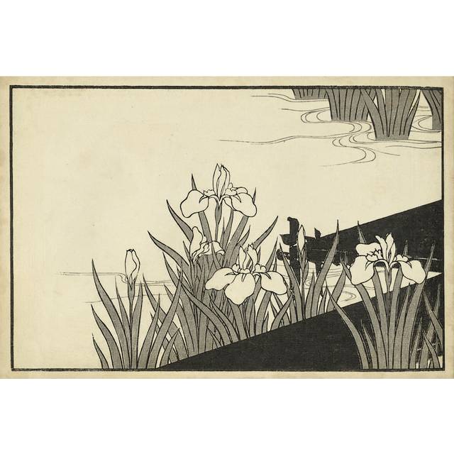Japanese Irises A - Wrapped Canvas Drawing (61cm H x 91cm W x 3.8cm D)
