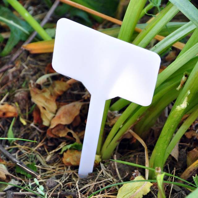 10 Pack Plant Labels White Plastic Tags Seed Pot Tray Markers Garden Greenhouse