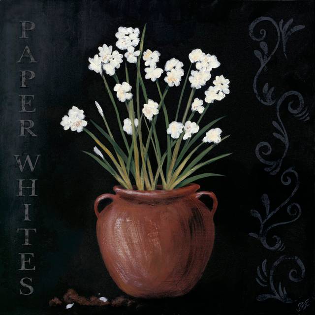 Paper Whites by Jade Reynolds - Wrapped Canvas Painting (122cm H x 122cm W x 3.8cm D)