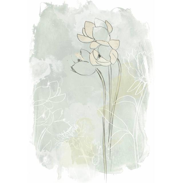 Stone Flower Study IV by June Erica Vess - Wrapped Canvas Art Prints (122cm H x 81cm W x 3.8cm D)
