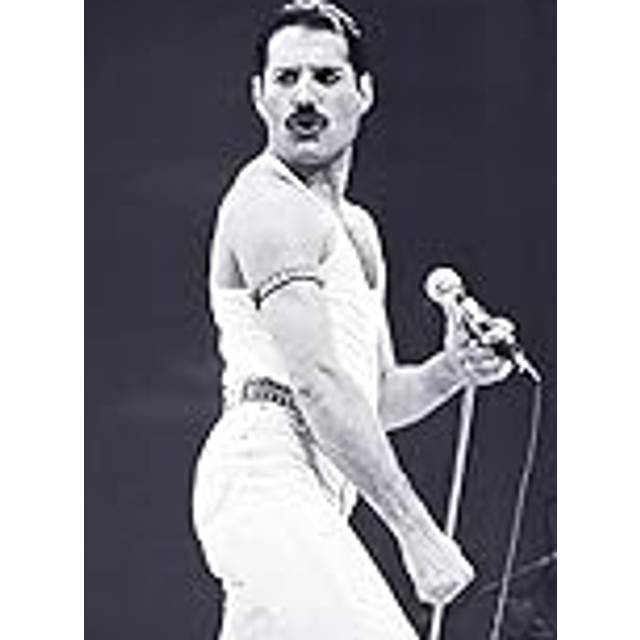 Close Up Affisch Queen Freddie Mercury (59,5 cm x 84 cm)