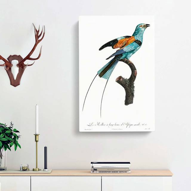 Long-Stranded African Roller Bird by Jacques Barraband - Wrapped Canvas Graphic Art Print (60cm H x 40cm W x 3cm D)