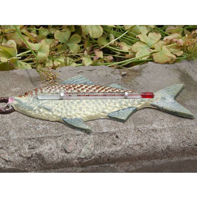Huntwood Fish Thermometer Garden Sign - Green (21cm H X 8cm W X 1cm D)