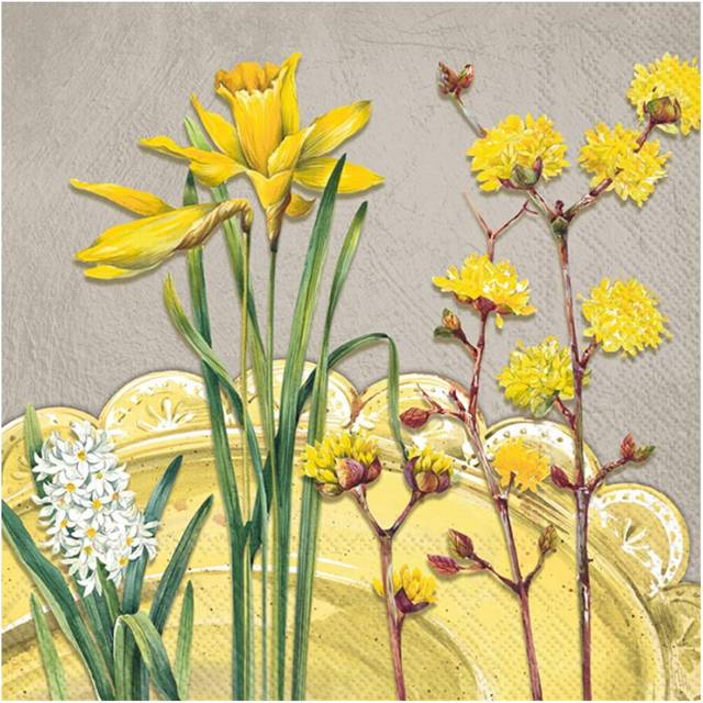 IHR Yellow Garden Grey Print Cocktail Paper Napkins 20 Disposable 3-Ply