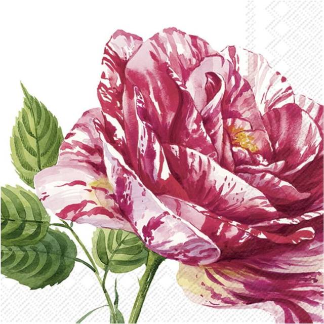 IHR Spring Red Flower Print Cocktail Paper Napkins 20 Disposable 3-Ply