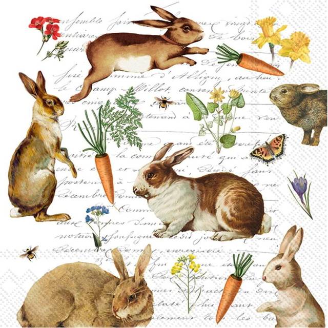 IHR Easter Hare Hunt Print Cocktail Paper Napkins 20 Disposable 3-Ply