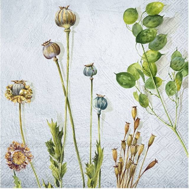 IHR Spring Bud Plant Blue Print Cocktail Paper Napkins 20 Disposable 3-Ply