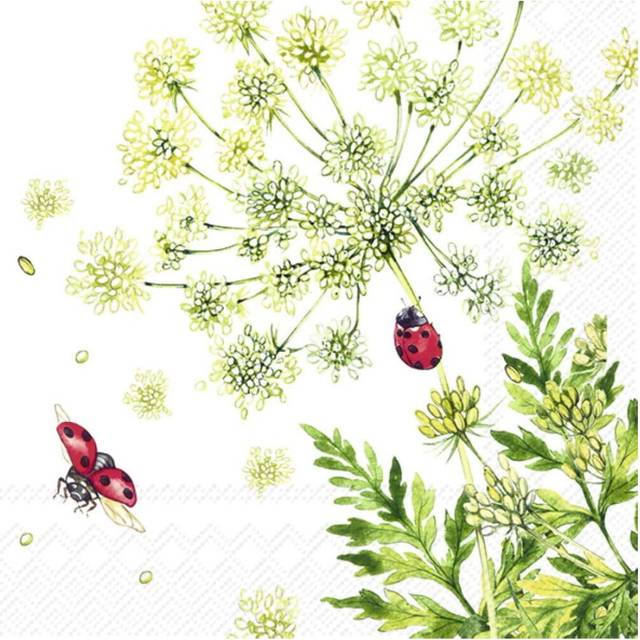 IHR Ladybirds Garden White Print Cocktail Paper Napkins 20 Disposable 3-Ply