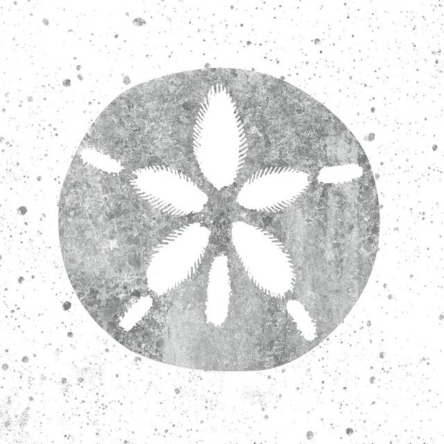 Silver Sea Life Sand Dollar by Wild Apple Portfolio - Wrapped Canvas Painting Print (51cm H x 51cm W x 3.8cm D)