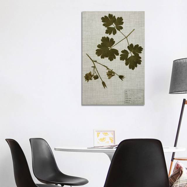 Pressed Leaves on Linen I by Vision Studio - Wrapped Canvas Art Prints (101.6 cm H  x 66.04 cm W)