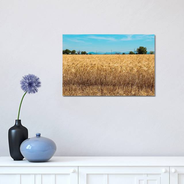 France Provence Valensole Composition II by Alexandre Venancio - Wrapped Canvas Photograph (30.48cm H x 45.72cm W x 1.905cm D)