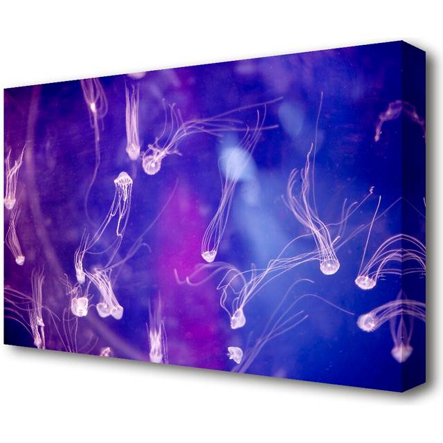 &#39;Tiny Jellyfish Wild Life&#39; - Wrapped Canvas Graphic Art Print on Canvas (35.6cm H x 50.8cm W x 4.4cm D)