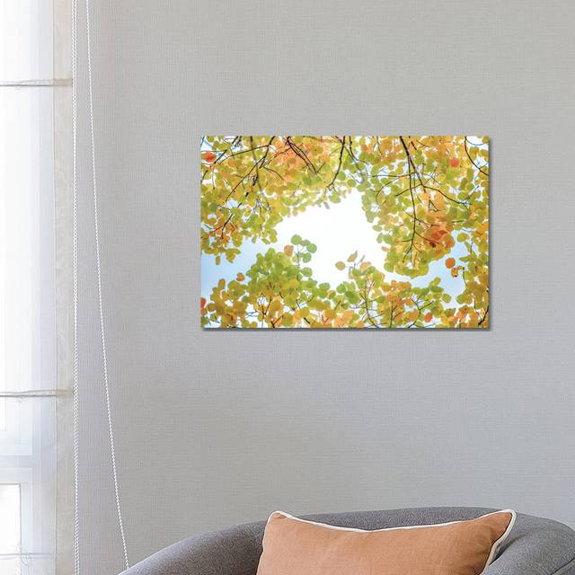 Canopy of Leaves in the Sky by Nik Rave - Wrapped Canvas Art Prints (66.04 cm H x 45.72 cm W x 1.91 cm D)