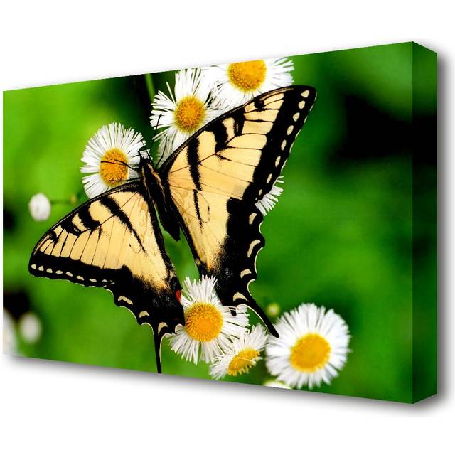 Yellow Butterfly Wildlife - Wrapped Canvas Photograph Print (66 cm H x 101.6 cm W)