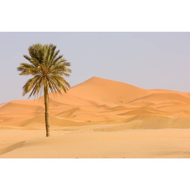 Pittner Pittner Sahara Desert - Wrapped Canvas Photograph (51cm H x 76cm W x 3.8cm D)