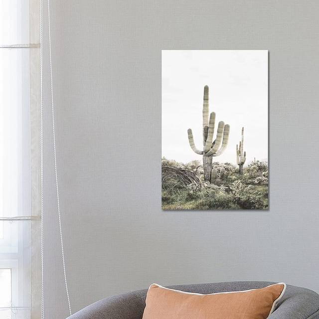 Blush Shy Cactus by Sisi & Seb - Wrapped Canvas Photograph (66.04 cm H x 45.72 cm W x 3.175 cm D)