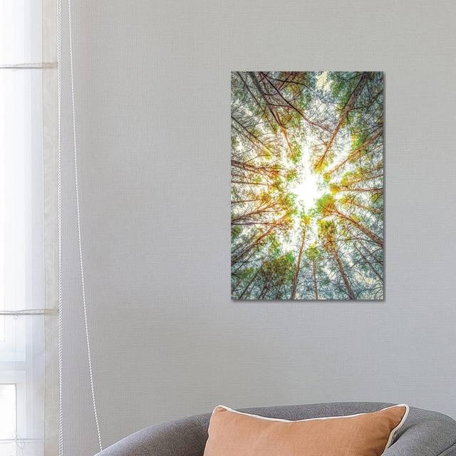 Canopy of Trees by Nik Rave - Wrapped Canvas Art Prints (66.04cm H X 45.72cm W)