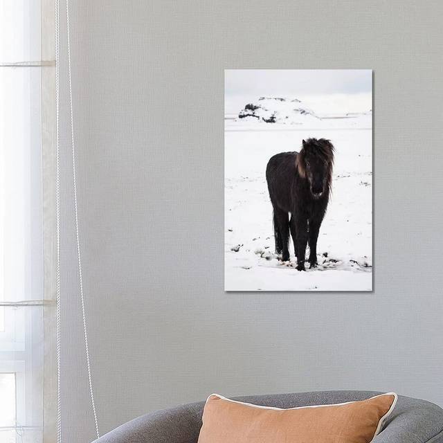 Icelandic Pony In Winter Snow by - Wrapped Canvas (66.04cm H x 45.72cm W)