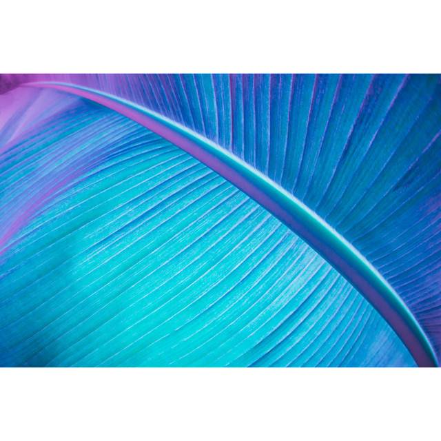 Argiro Abstract Neon Coloured Plant by Aleksandra Golubtsova - Wrapped Canvas Photograph (30cm H x 46cm W x 3.8cm D)