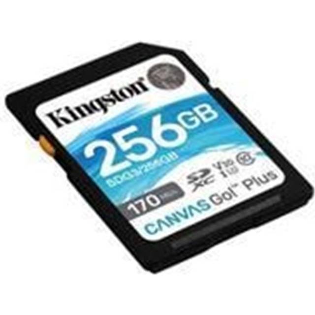 Kingston Technology Canvas Go! Plus 1TB SDXC Canvas Go Plus 170R C10 UHS-I U3 V30