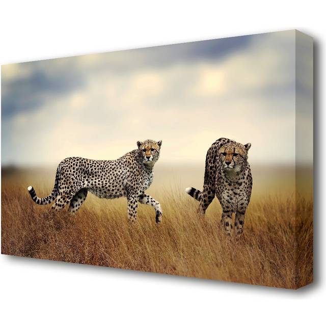 Cheetah Duo Wildlife - Wrapped Canvas Photograph Print (50.8 cm H x 81.3 cm W)