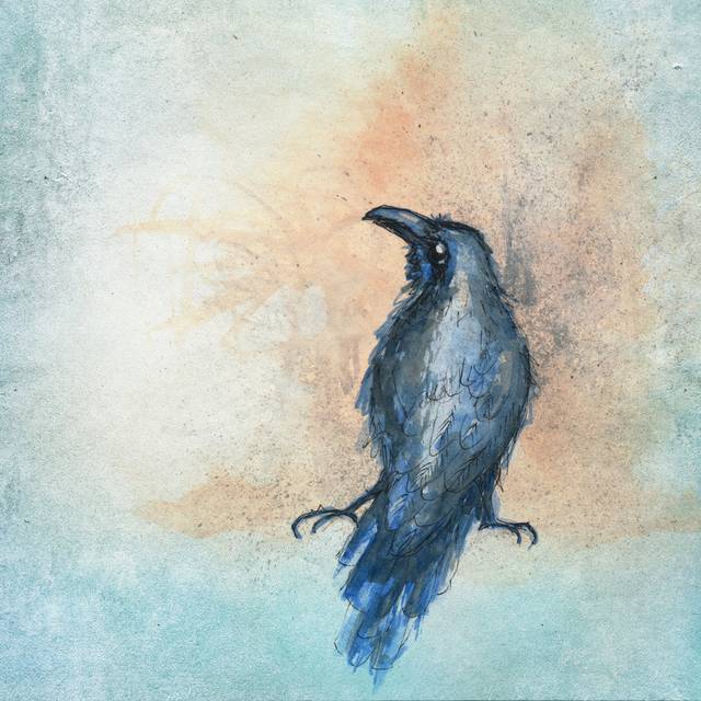 A Black Crow by Esinesra - Wrapped Canvas Art Prints - Blue (30cm H x 30cm W x 3.8cm D)