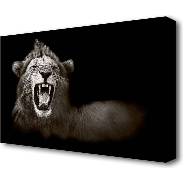 Lion Roar Wildlife - Wrapped Canvas Photograph Print on Canvas (50.8cm H x 81.3cm W x 4.4cm D)