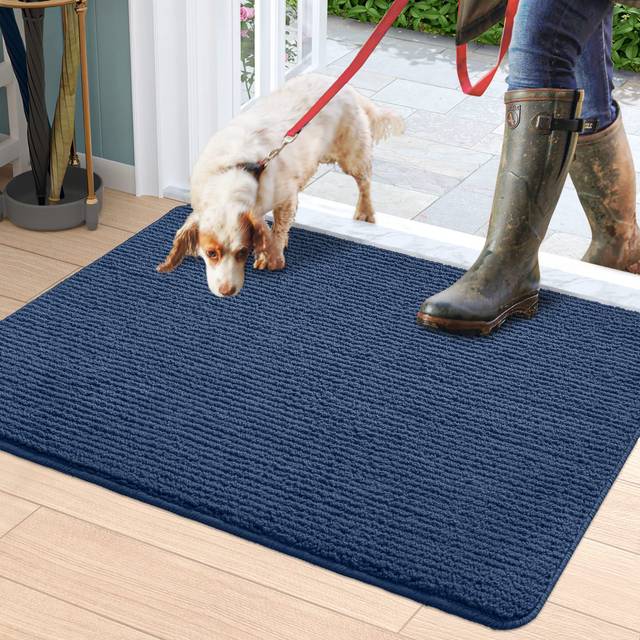 DEXI Entryway Rug Indoor Entry Doormat Front Door Rugs Non Slip Low Pr