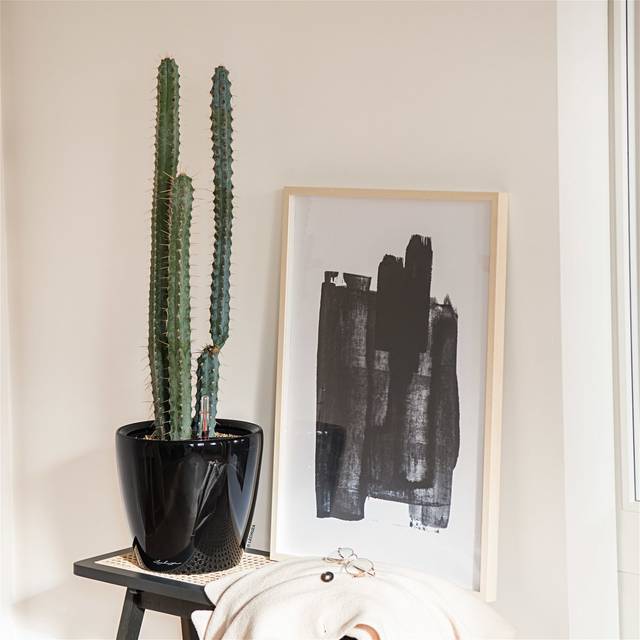 Lechuza Classico 35 LS Black Poly-Resin Self-Watering Planter 33cm - Lechuza The Original