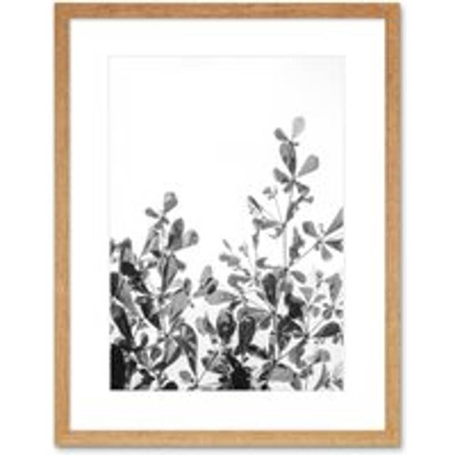 Wall Art Print Black White Photography Plant Framed - Beige - W7 inch x H9 inch