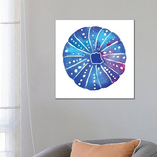 Shell Sea Urchin I by - Wrapped Canvas (66.04 cm H x 66.04 cm W x 1.91 cm D)