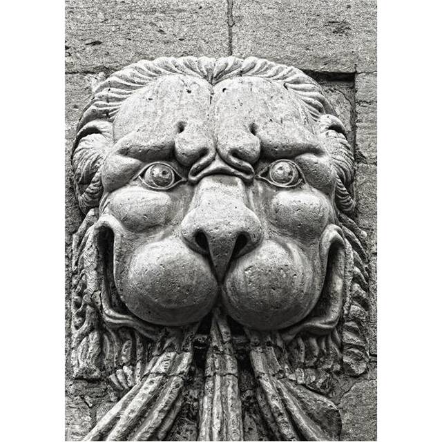 Popes Palace Avignon Provence France - Lion Sculpture Poster Print, Large - 22 x 32