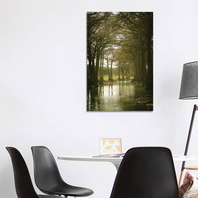 Texas Hill Country by Ann Hudec - Wrapped Canvas Graphic Art (101.6 cm H x 66.04 cm W x 1.91 cm D)